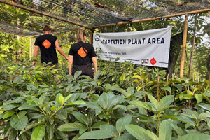 Campagne de reforestation en Indonésie par l'ONG LIFE, zone d’adaptation des jeunes plants, 2023.