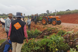 Campagne de reforestation par l'ONG LIFE à Madagascar, 2024.